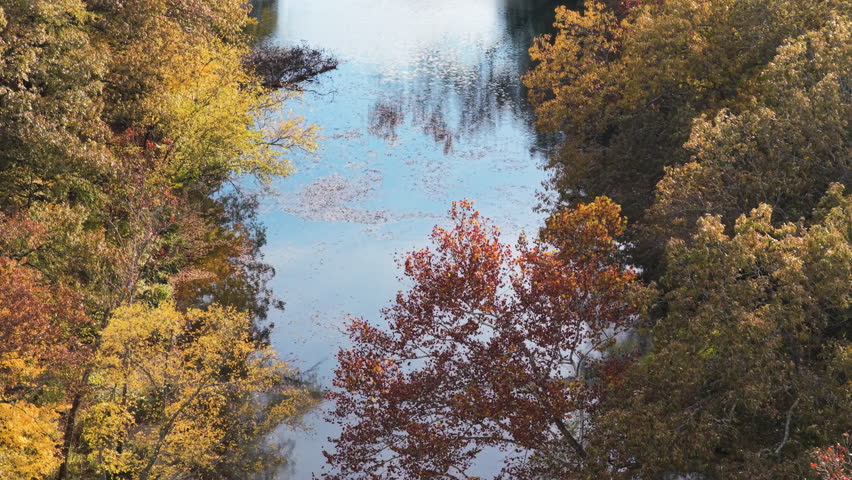Calm river surface with floating autumn leaves in forest Natural Dam Arkansas, drone telephoto overview, trees sway in wind