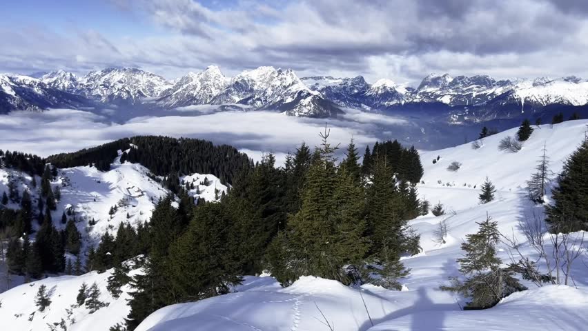 Majestic alpine winter landscape above sea of clouds. Snow-capped mountain peaks and evergreen pine trees, beautiful sunny day in the high Alps