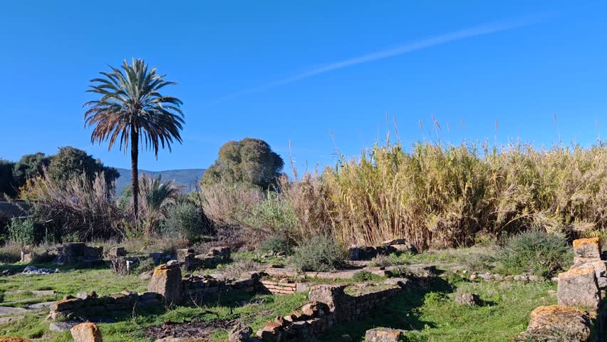 The Basilica of Saint Augustine in Annaba – Historic Christian Landmark and Roman Ruins of Hippo, Algeria