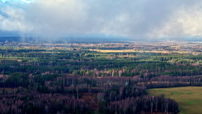 Aerial view of a forest landscape under low clouds with sunlight over mixed woodland and open fields. Atmospheric countryside scene with dramatic weather, layered terrain and natural contrast.