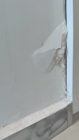 Mold damage on white wall showing cracked paint and moisture buildup in interior setting video