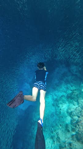 A young man freediving through a massive school of sardines during a sardine run in the blue ocean water of Moalboal, Cebu, Philippines.