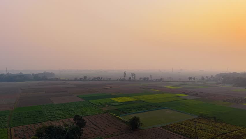 Agricultural landscape with various green and brown fields at sunrise agriculture countryside rural dawn morning