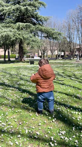 Little child from behind walking on a green meadow full of daisies on a sunny day in early spring