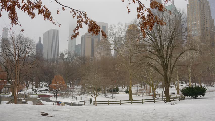 Winter park landscape with snow in New York