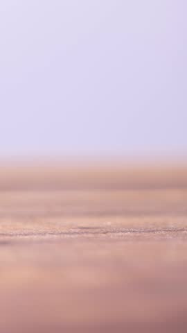 Stop Motion of Penny Stack Forming and Disappearing on Neutral Background