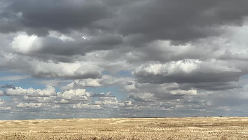 Wide Open Rural Farm Field In Alberta Prairie Landscape With Expansive Agricultural Land And Countryside Environment
