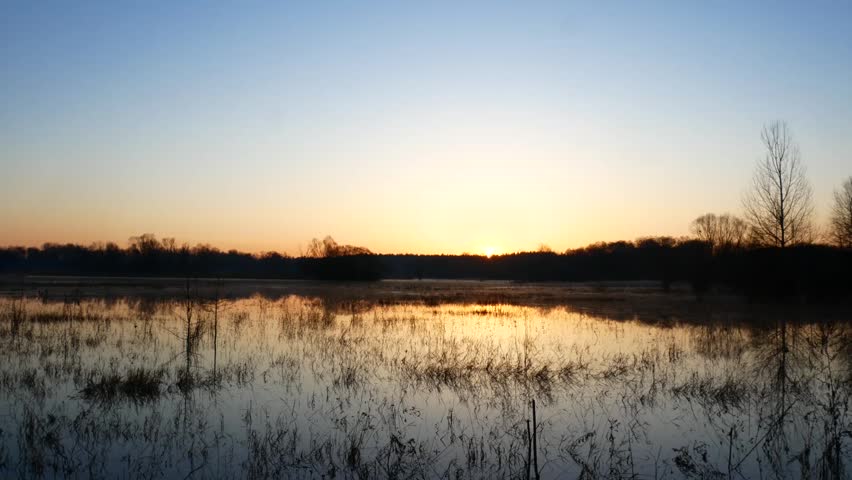 Beautiful sunrise over a calm wetland with golden sunlight reflecting on the water surface.