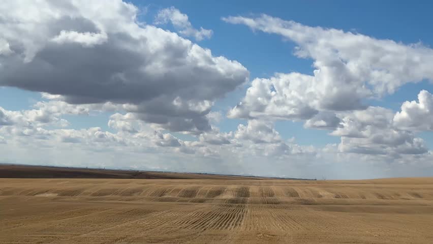 Rural Alberta Farm Field With Wide Open Space And Natural Prairie Landscape Setting
