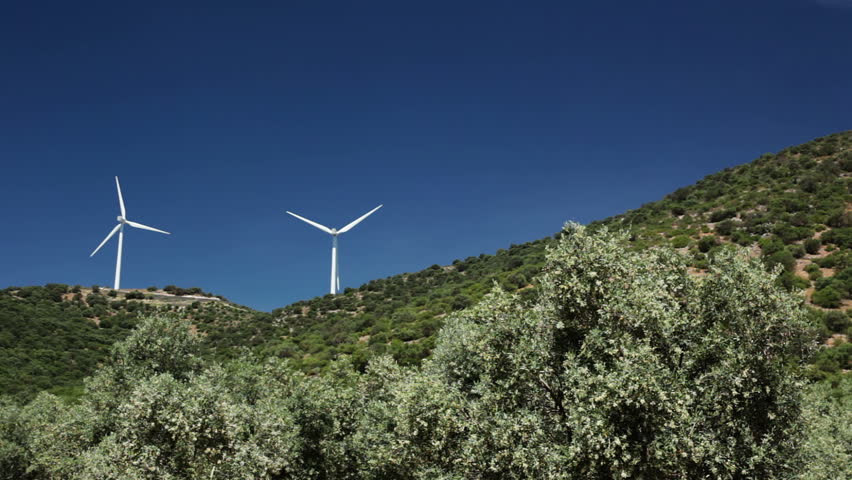 Olive trees, wind power and blue sky