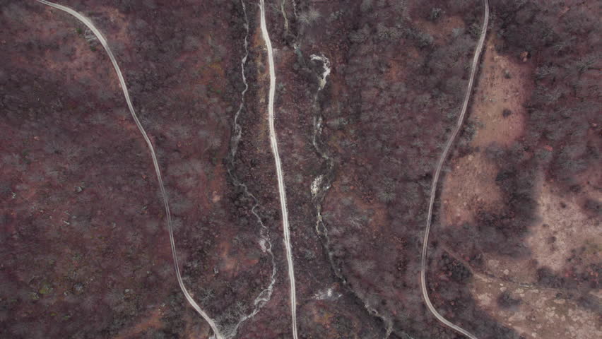 Drone top-down shot of narrow stream flowing through forest with winding dirt roads on both sides.