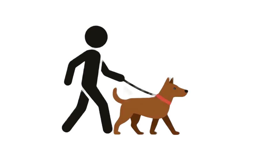 Stick Man: Reluctant Taking his dog for a walk or getting walked by his ? A dog whisperer he is not. Lucky he still looks sharp at the dog park in his red dot sneakers and white cartoon gloves.stick man walking a miniature schnauzer thick line drawing in black artwork A simple black icon showing a person walking on a leash. Great for park signs pet services and vector design projects.
