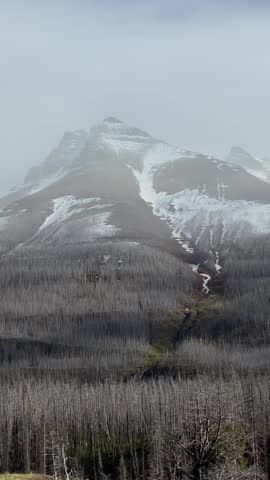 Waterton Lakes National Park landscape showcasing a mountain, mist, river, and fire damaged forest