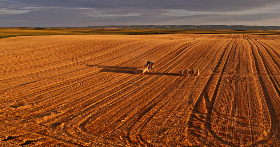 Agricultural tractor baling hay in a vast golden field during a scenic sunset, seen from above