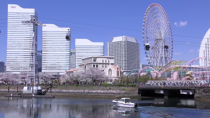 Under a blue sky, in Yokohama City, Kanagawa Prefecture, the Minato Mirai district features a ropeway with cherry blossoms in full bloom, and a scene of tourists and small boats enjoying the blossoms.