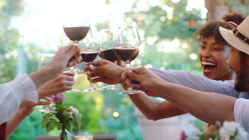 Hands, friends and cheers with red wine in backyard for support, celebration and lunch reunion. Smile, people and toast alcohol for gathering, hangout together and gratitude of Easter holiday in home