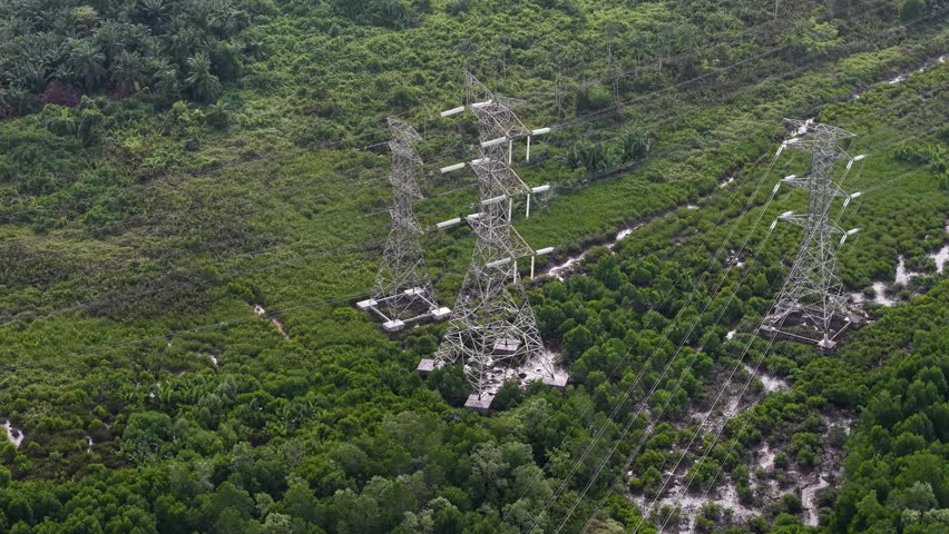 Drone aerial view of high voltage transmission towers crossing lush mangrove wetlands and tropical forest.