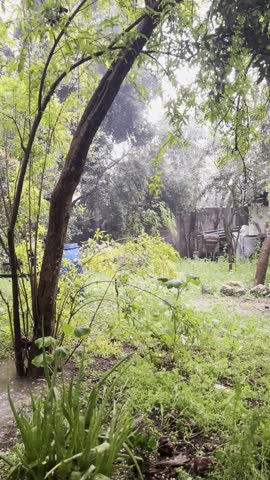 April showers in the beautiful green garden, Adana, Turkey, 2026