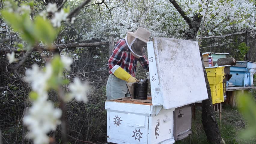 A handsome man in a plaid shirt, jeans, a beekeeper