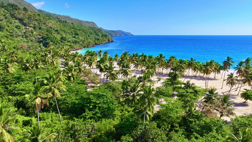 Aerial view of Rincon Beach, Samana Island, Dominican Republic. Green palm trees against the backdrop of a turquoise ocean. Wild holiday near the turquoise wavy sea. Turquoise water on a beautiful tropical beach.