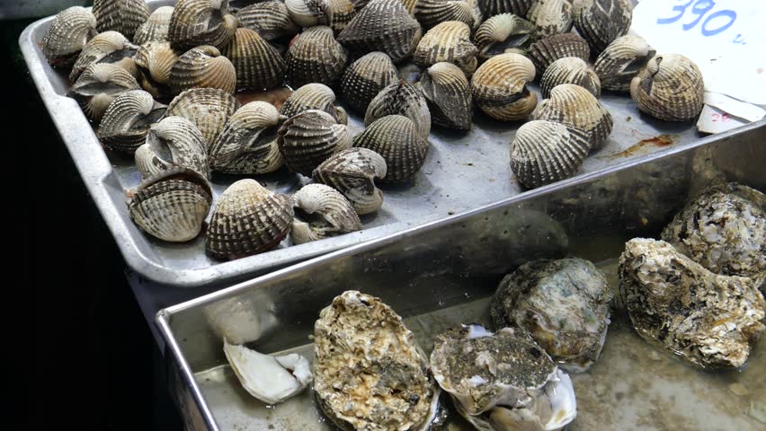 Horseshoe crabs and blood clams for seafood