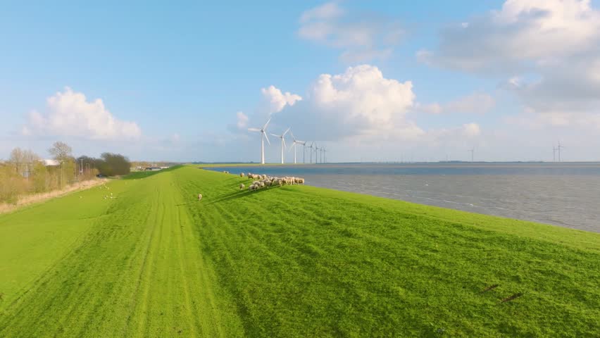Aerial view of sheep herd on green field with wind turbines near sea and dam. Scenic rural landscape with farm animals, wind generators and cloudy sky at sunset. Renewable energy and agriculture.