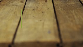 Descending five decorated eggs forming line on rustic tabletop, green overlay showing HAPPY EASTER. Wooden, pastel, display, arrangement, texture, grain, ornaments - Powered by Shutterstock - Get 15% off with code: PIKWIZARD15