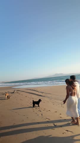 Romantic couple enjoying a peaceful walk with their dogs on the beach. Rear view of a man and woman strolling along the seashore at sunset