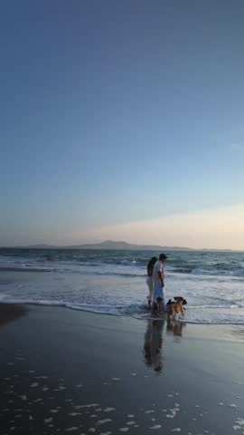 Happy young couple holding hands while walking their dogs along the seashore at sunset. A serene and romantic scene of family life and leisure