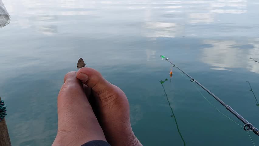 Tiny butterfly perched on finger with fishing rod and lake background