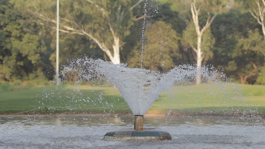 Water fountain spraying in a tranquil lake with trees in the background during daytime