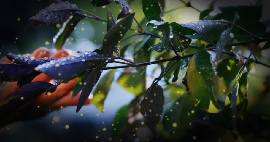 Female hands entering frame and cradling leaf, activating blue spark and lighting droplets for tech. Foliage, dew, macro, bokeh, nature, garden, glow