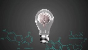 Transparent bulb containing brain rotating while cyan code UI appearing, scanning for neuroscience. Neural, holographic, anatomical, visualization, molecular, laboratory, rotation - Powered by Shutterstock - Get 15% off with code: PIKWIZARD15