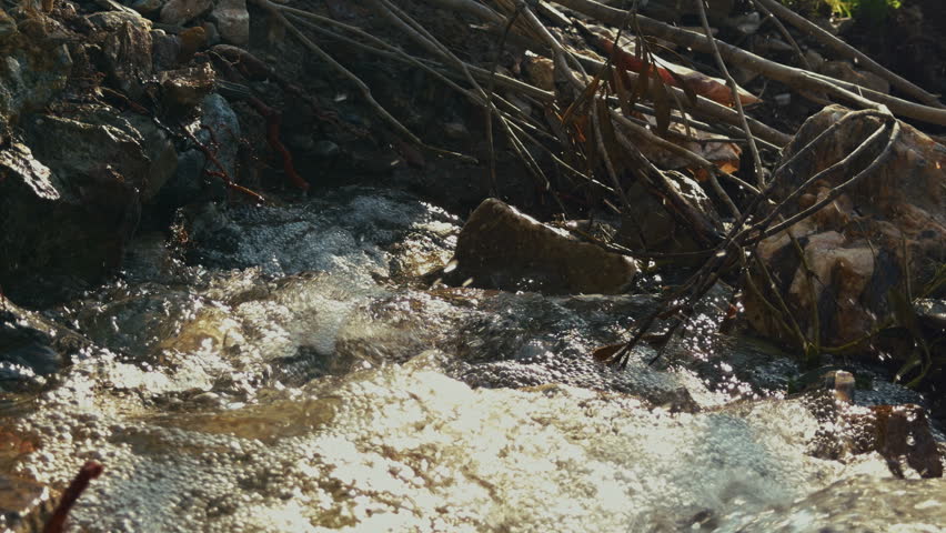 A scenic video clip of a small creek waterfall cascading over mossy rocks in a lush, green forest. The footage captures the natural, dynamic flow of water and the peaceful atmosphere of a pristine woodland environment in real-time.