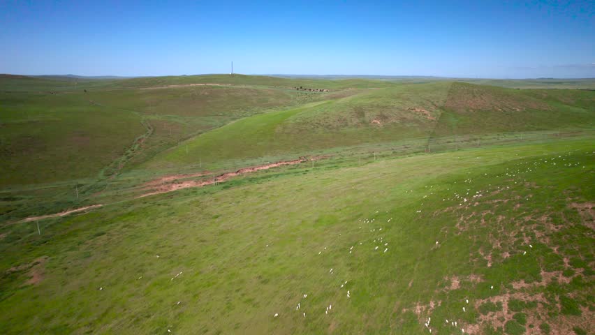 Grassland Vast Grassland Under Blue Sky Scenic 4K