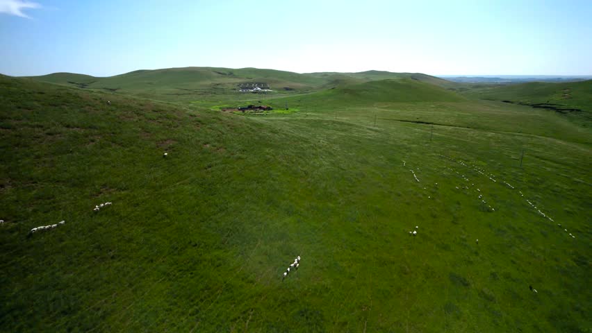 Grassland Vast Grassland Under Blue Sky Scenic 4K