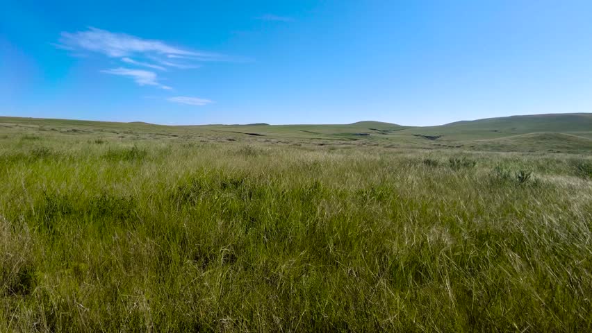 Grassland Vast Grassland Under Blue Sky Scenic 4K