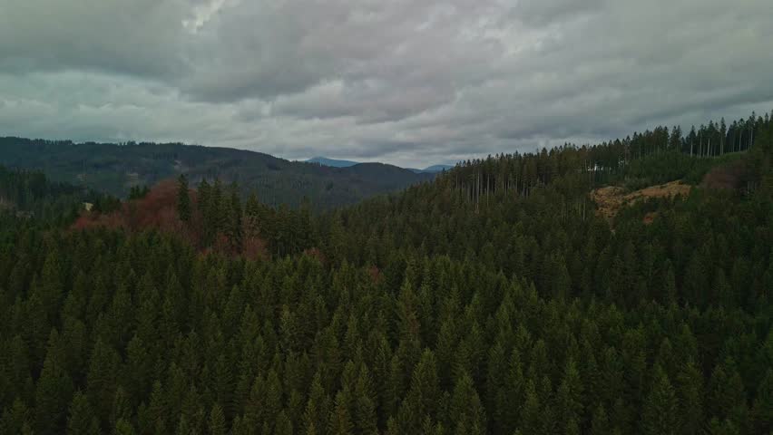Expansive Mountain Ridge Landscape. Wide Drone Image Showing Layered Conifer Ridges And Distant Highlands