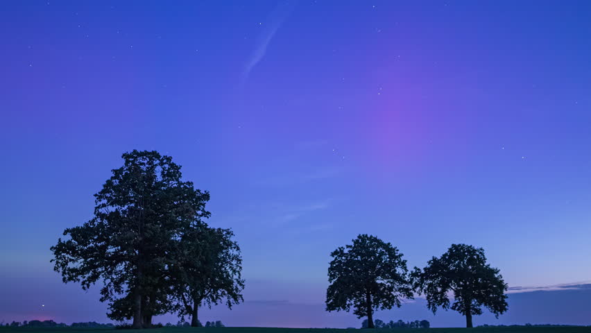 Colorful northern lights above tree silhouettes and starry sky at night
