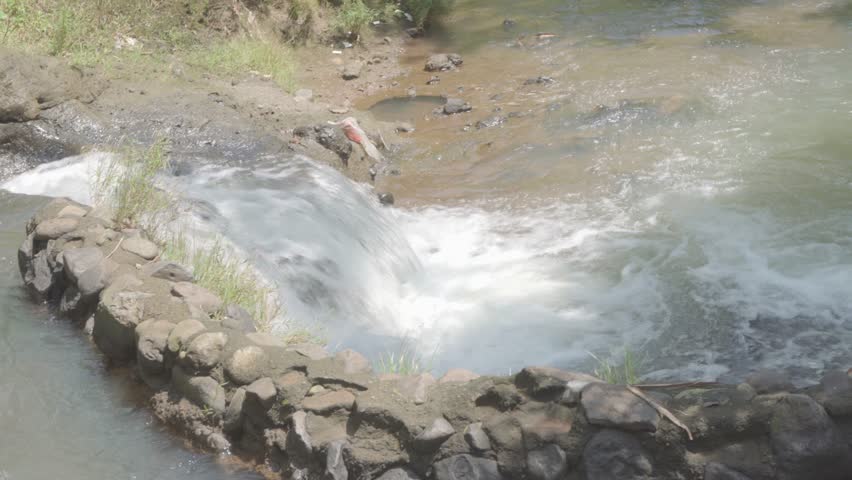 Small Waterfall Cascading Over a Stone Retaining Wall into a River