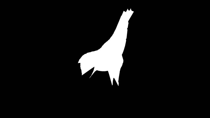 White Silhouette of a Giraffe Head and Neck on Black Background animal wildlife