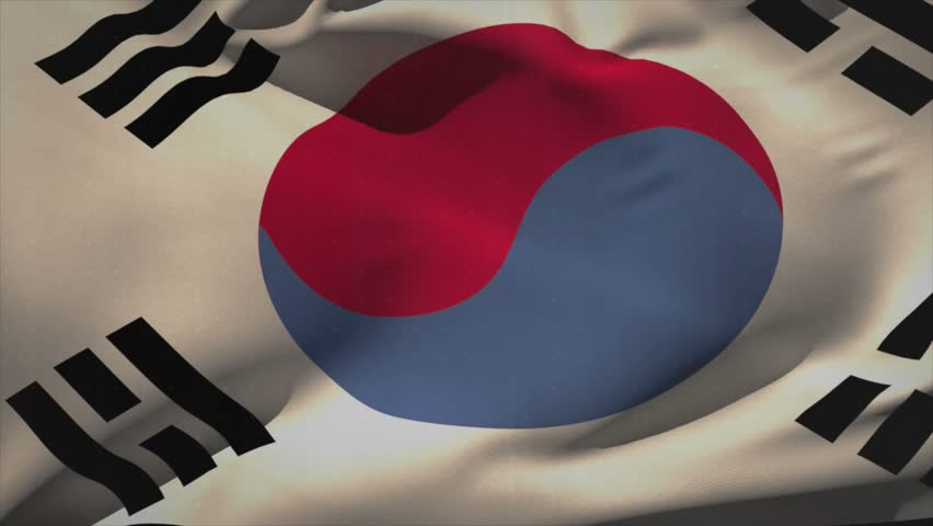 Wind causing Taegukgi rippling while cam panning, charts rising and bending, visualizing finance. Flag, overlay, data, bargraph, linegraph, texture, folds
