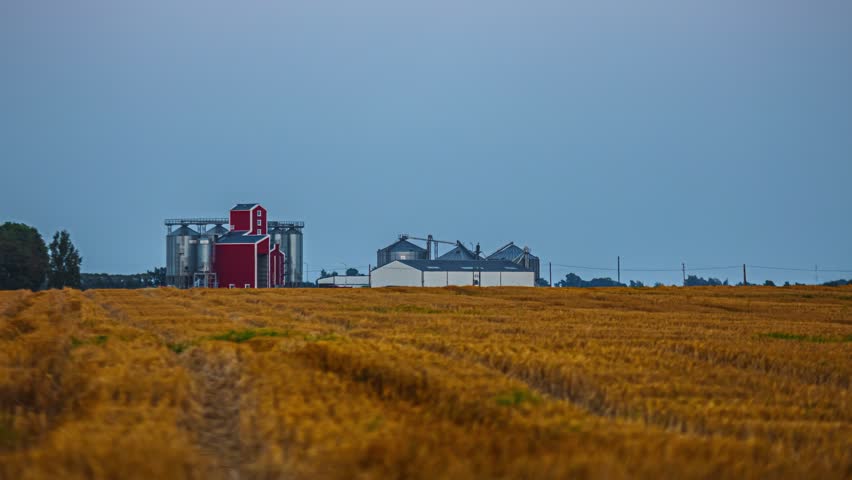 Golden agricultural field with farm buildings and grain silos in rural countryside