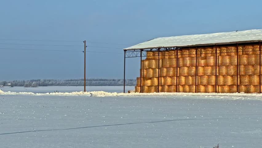 Snowy field with hay bales stacked in a barn during clear winter day