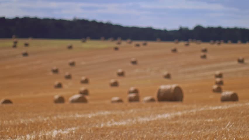 Autumn agriculture themed footage of golden field with bales of hay covering the field into the distance
