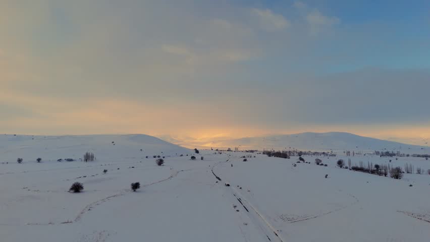 Windy winter landscape with snow-covered trees and rolling hills