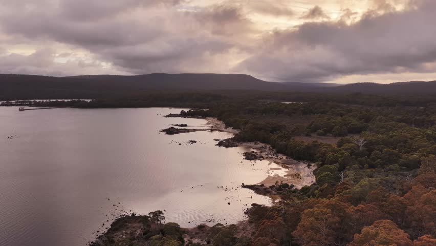 Lake St Clair lagoon river in National park the overland track – aerial sunrise landscape.