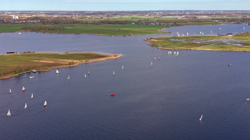 Aerial scenic view of numerous white sailboats racing on a calm blue lake surrounded by green meadows and rural Dutch landscape under a clear sky. High angle drone photography of summer water sports.