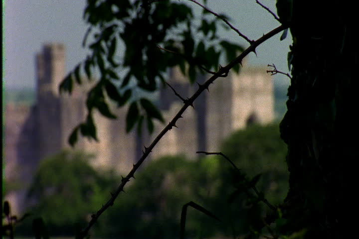 Rack focus from leafy tree branch to Caernafon Castle. Camera pans left over tower in Gwynedd, North-West Waless.
