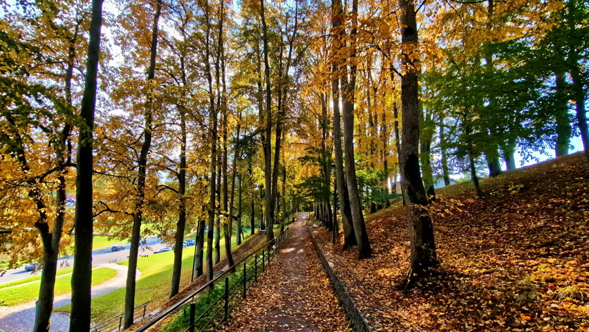 Golden autumn trees line a sloped park walkway with railings, sun shining through the canopy. Leaf-covered path with strong leading lines and warm fall atmosphere.